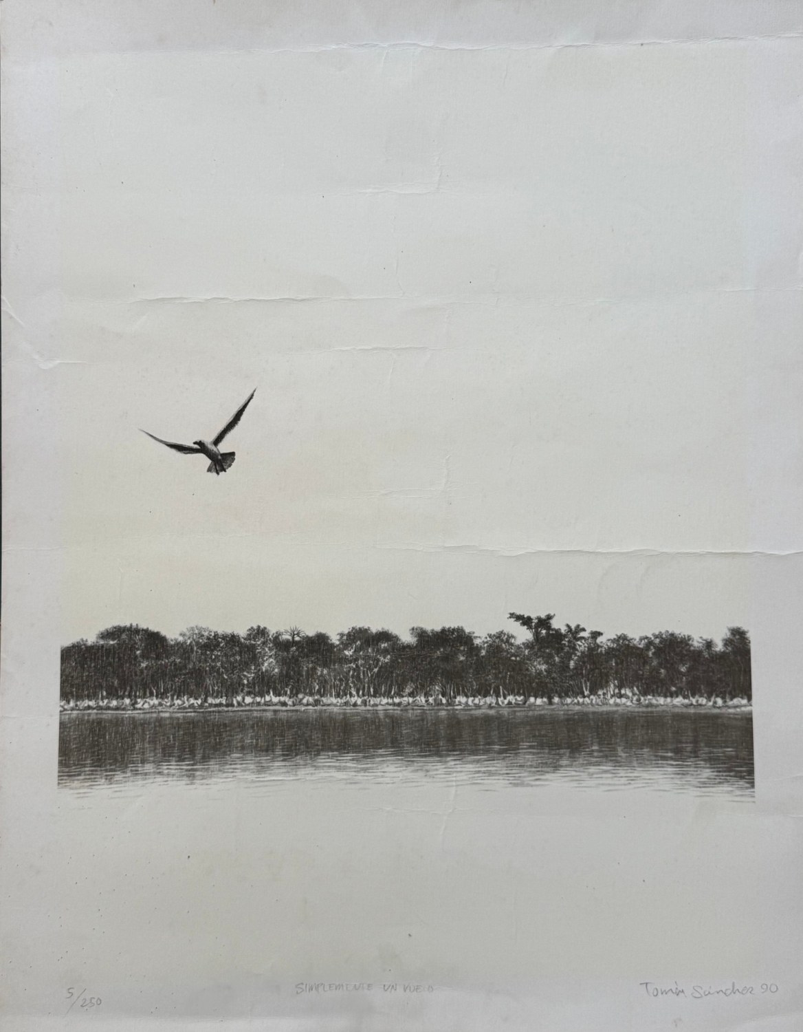 Simplemente un vuelo — Tomás Sánchez
